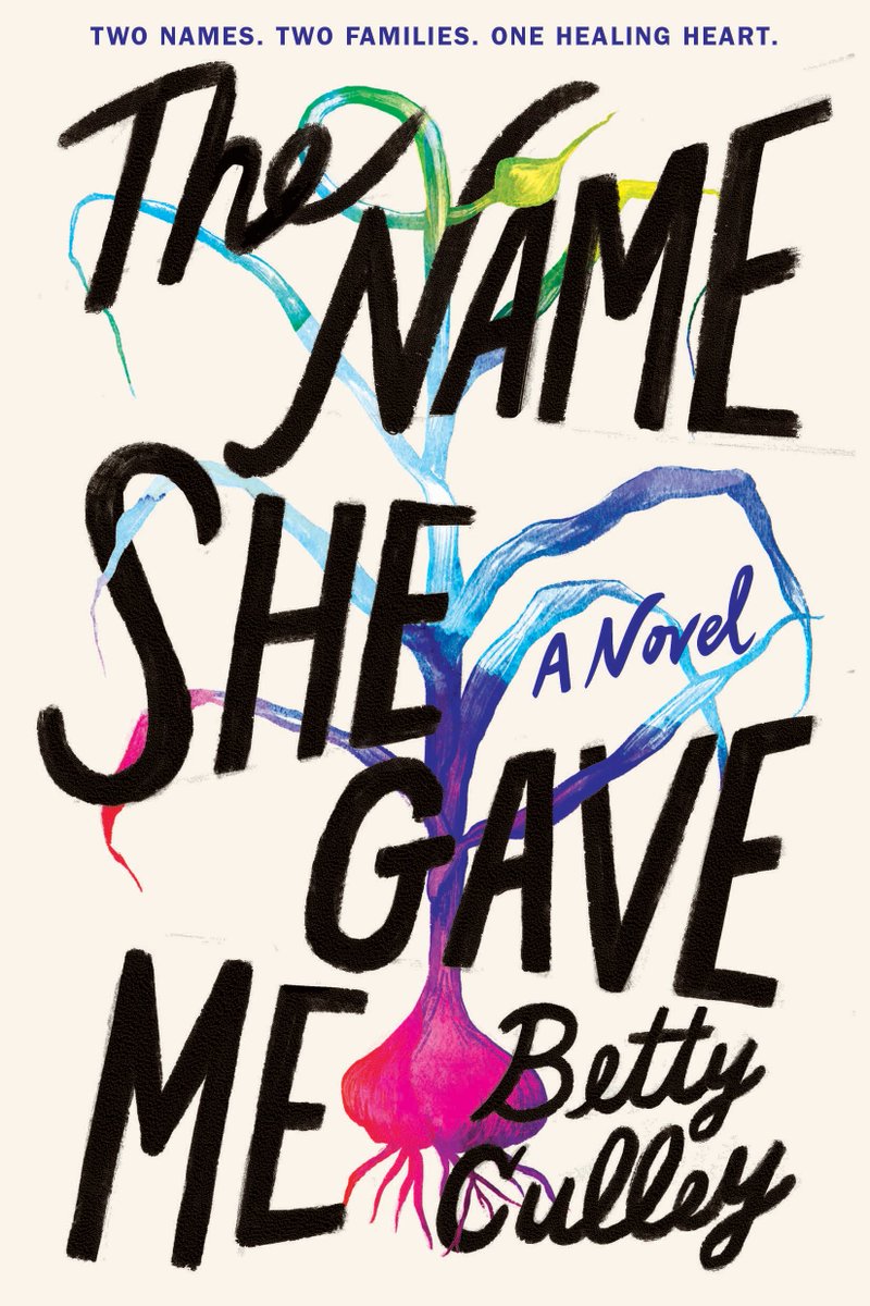 the name she gave me book cover