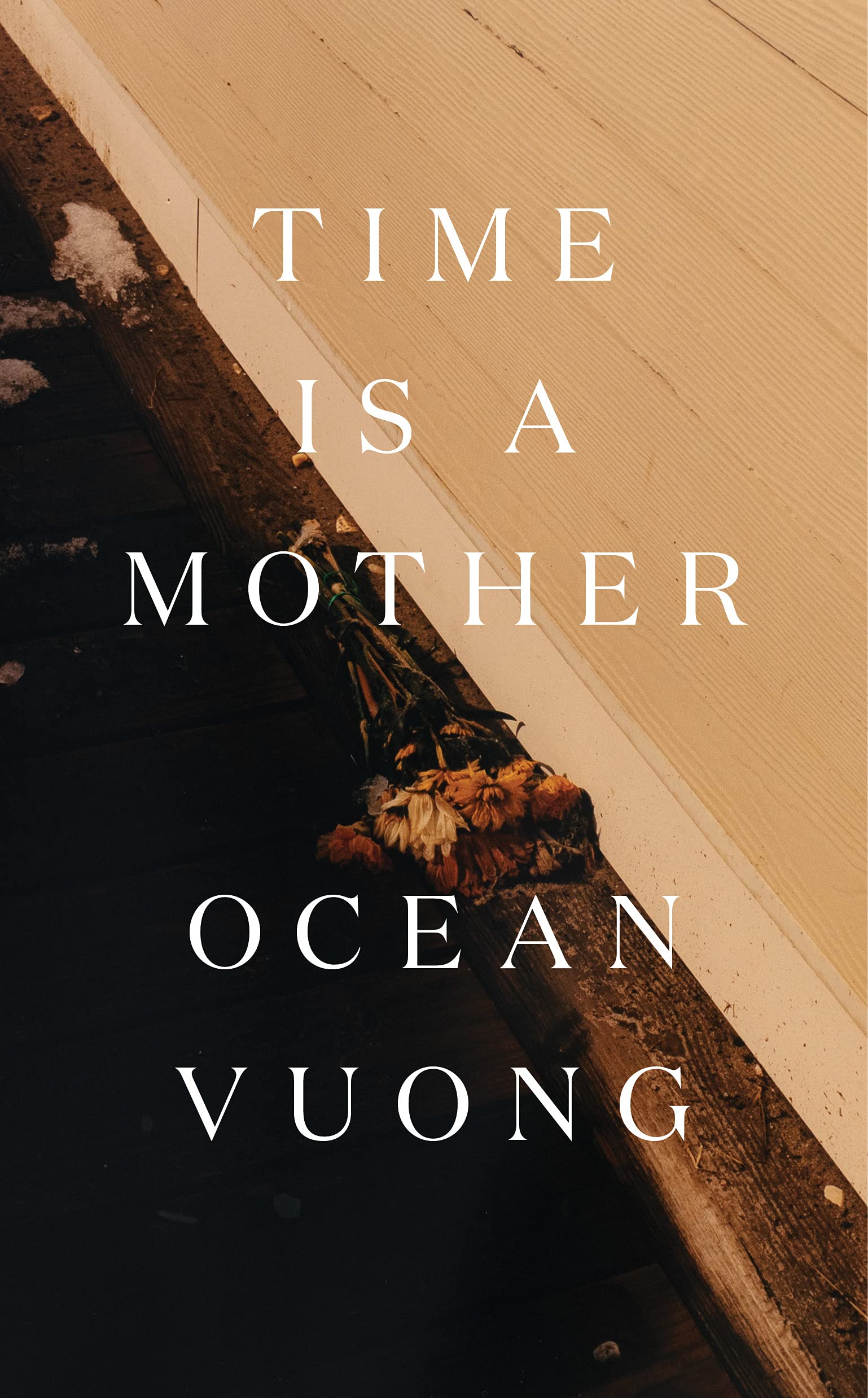 time is a mother book cover