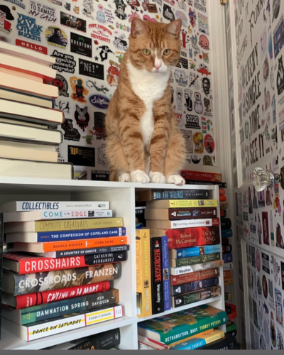 orange tabby cat surrounded by stacks of books; photo by Liberty Hardy