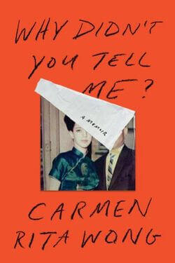 why didn't you tell me book cover