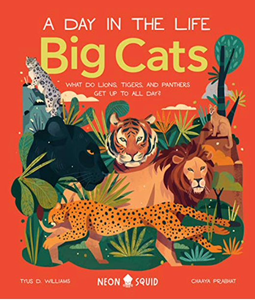 Big Cats (A Day in the Life) cover
