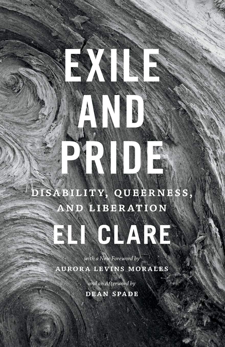 the cover of Exile and Pride
