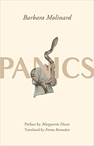 cover of Panics by Barbara Molinard