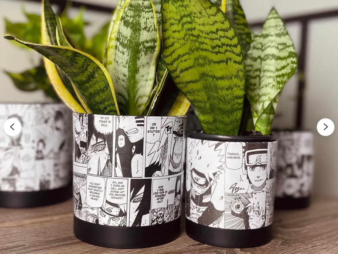 Several plants in small pots decorated with pages from Naruto