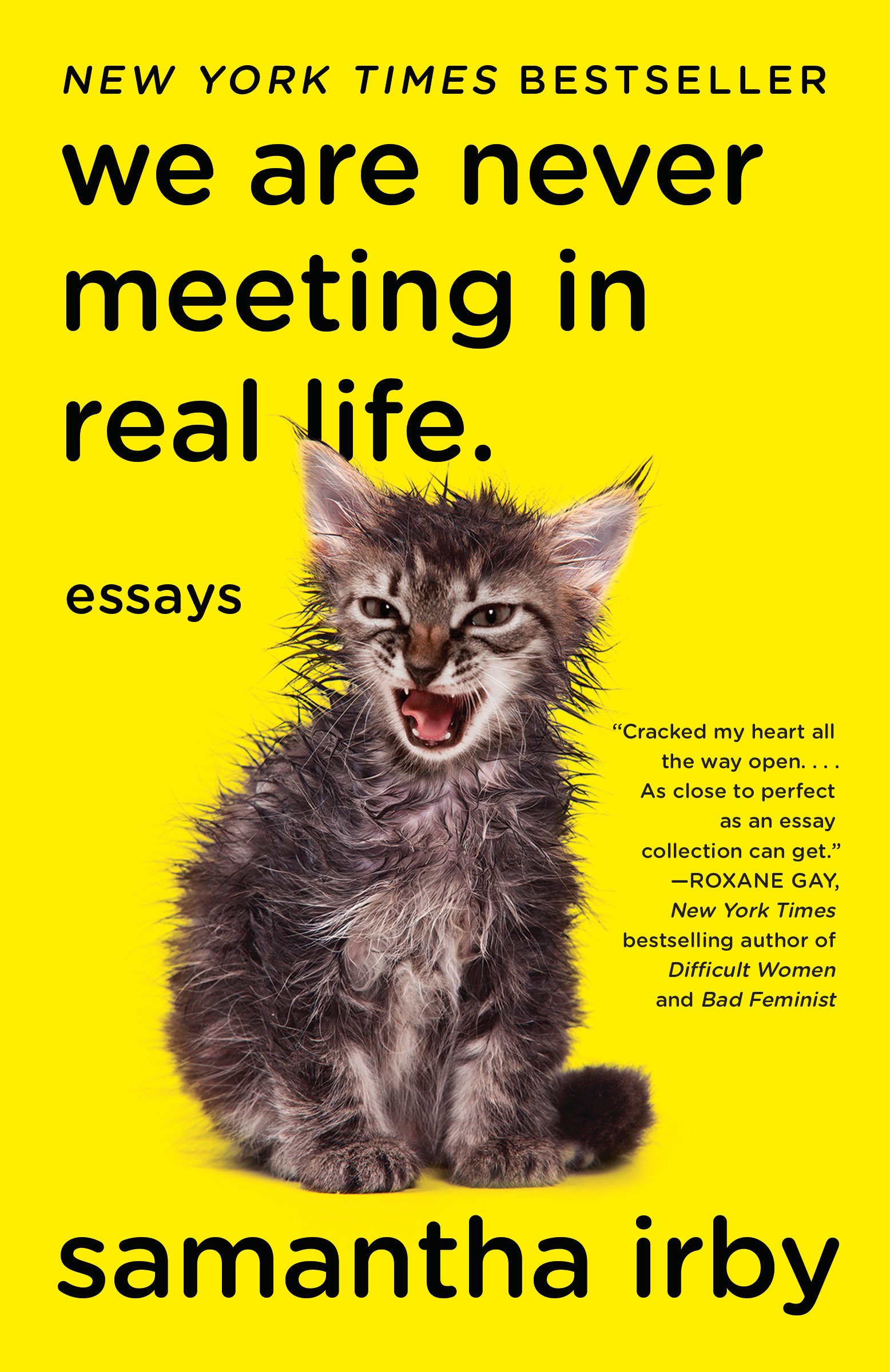 A graphic of the cover of We Are Never Meeting in Real Life