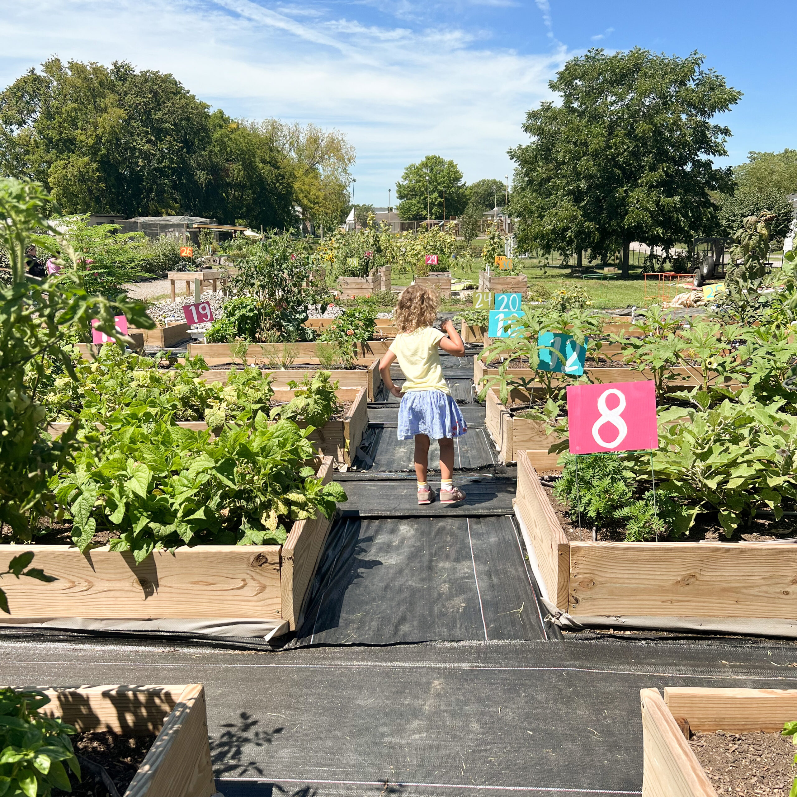 Marian plays in a community garden, the kids are all right