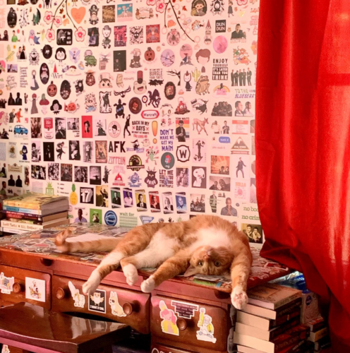 orange cat lying upside down on a desk; photo by Liberty Hardy