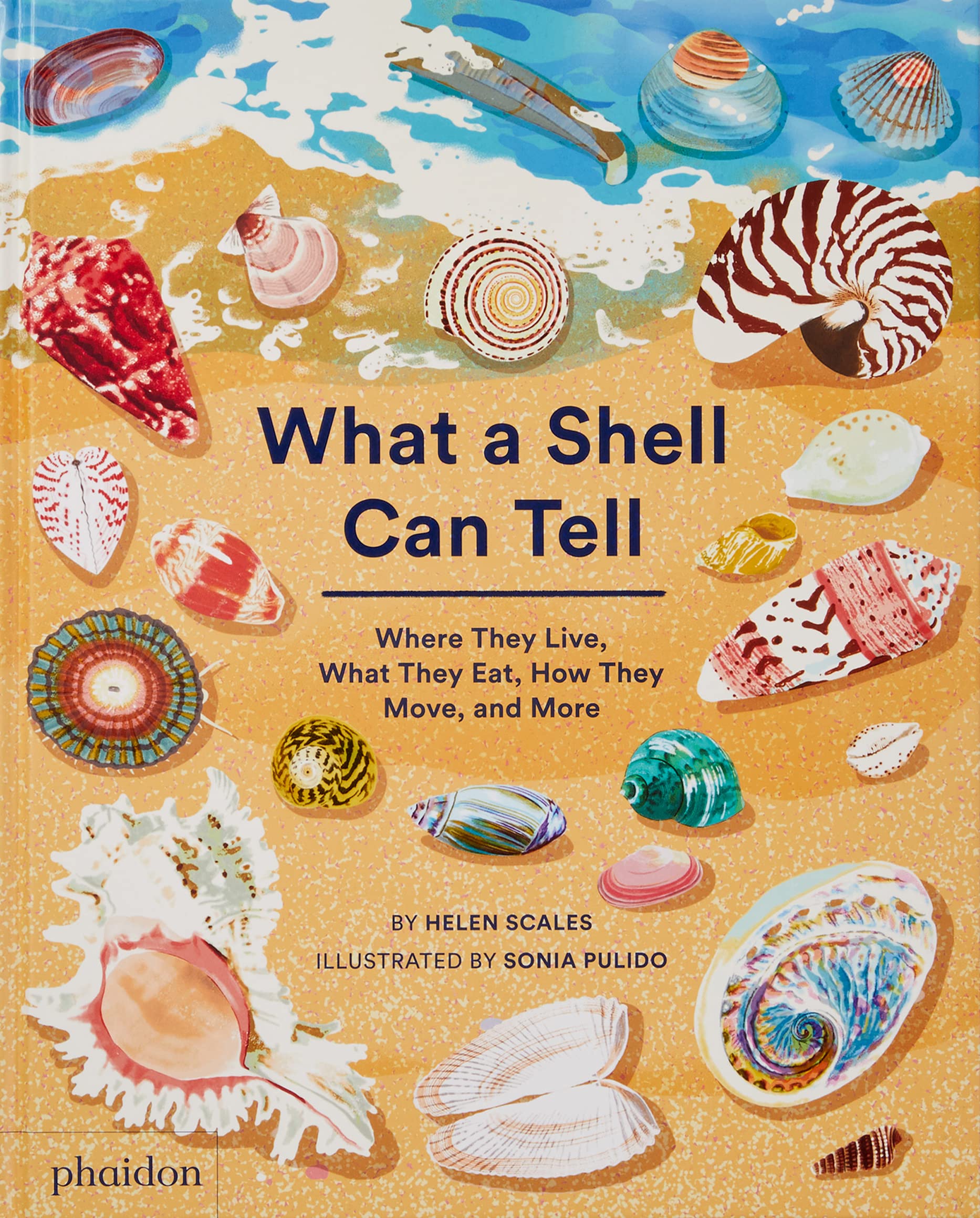 Cover of What a Shell Can Tell by Scales