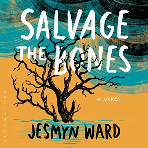 A graphic of the cover of salvage the bones