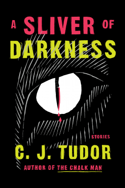 a sliver of darkness book cover