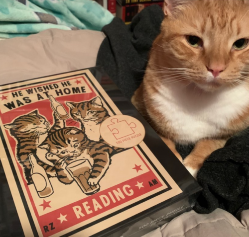 orange cat sitting next to a puzzle box with an image of cats drinking at a bar; photo by Liberty Hardy