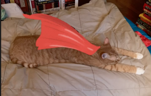 orange cat stretched out on a bed with a cartoon cape on its back; photo and photoshop by Liberty Hardy