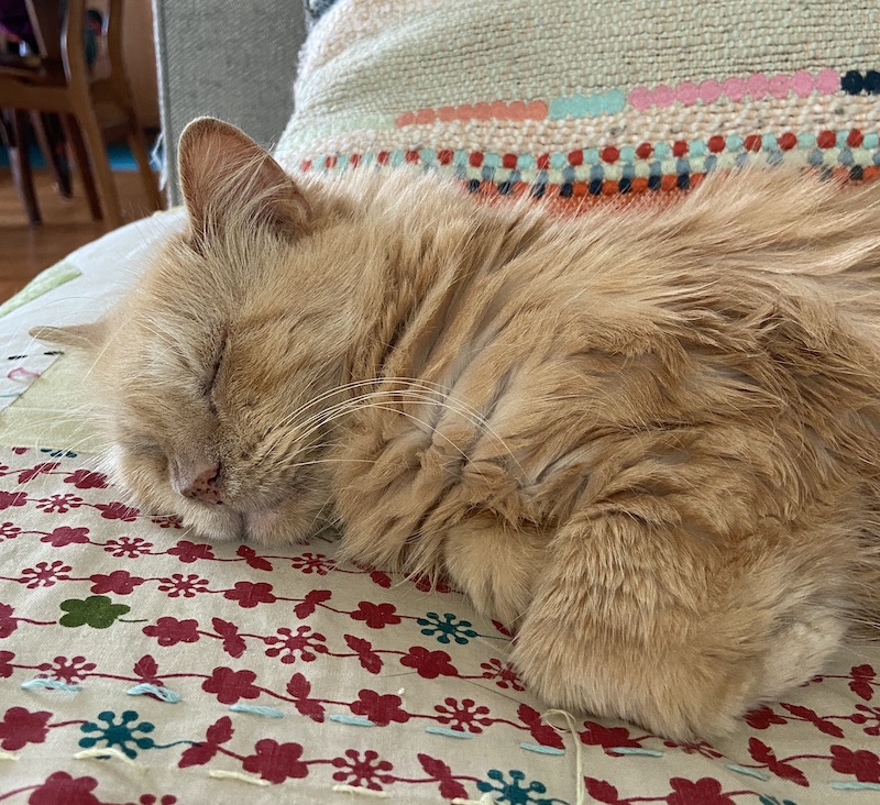 An orange tabby cat sleeping on a colorfully patterned quilt