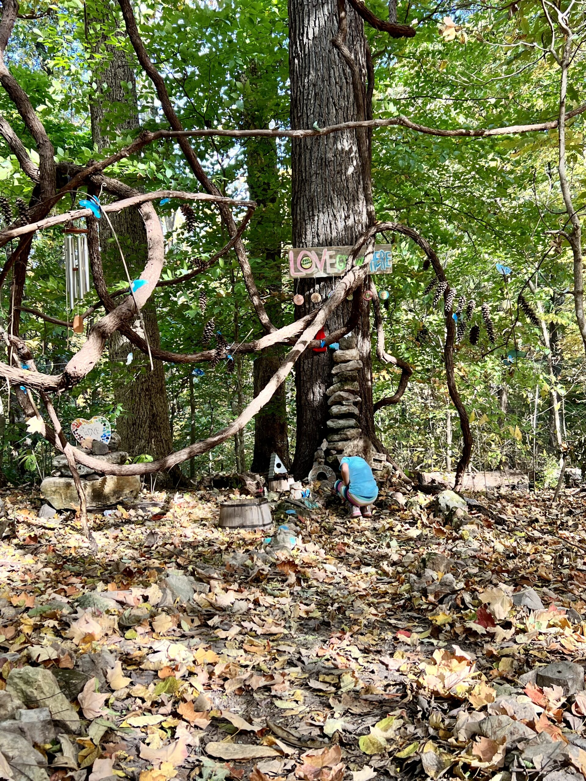 A fairy city in the woods, The Kids are All Right