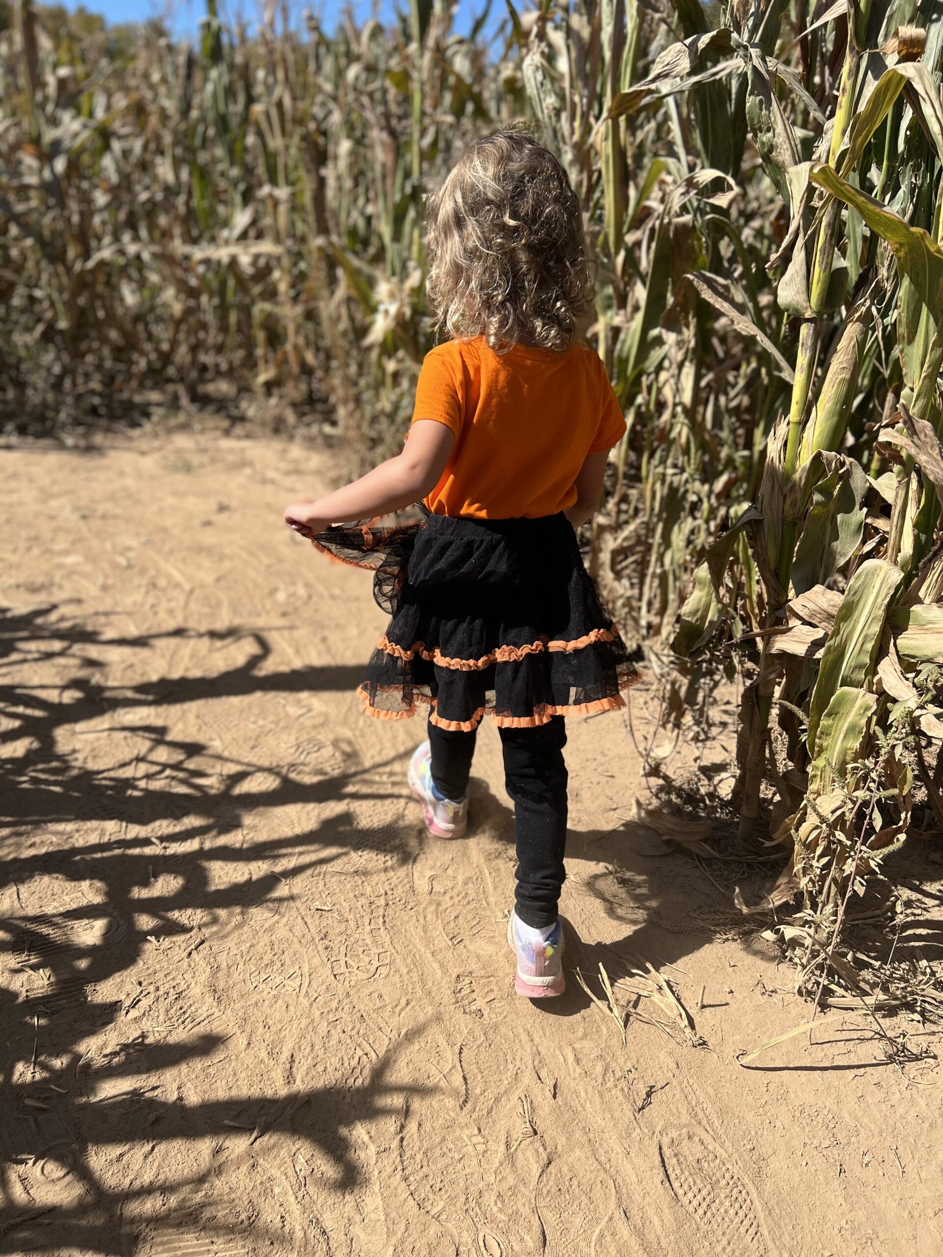 Marian in a corn maze, The Kids are All Right