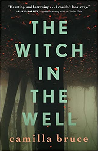 Cover of The Witch in the Well by Camilla Bruce