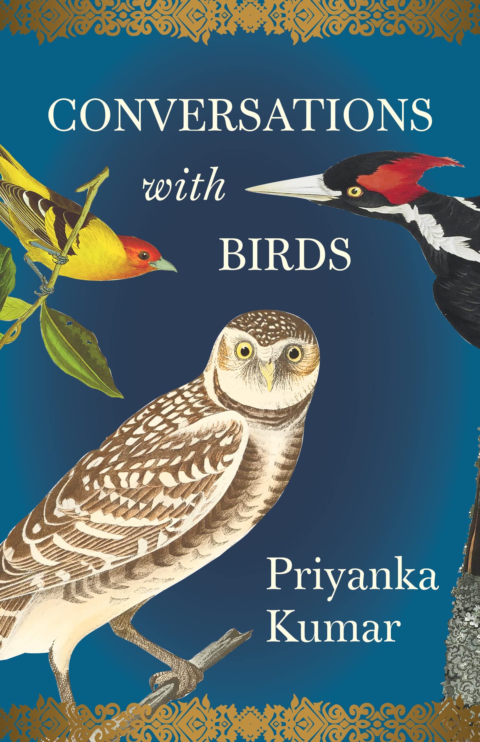 A graphic of the cover of Conversations with Birds by Priyanka Kumar