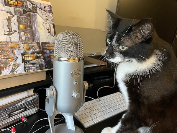 black and white cat sitting on a desk next to a recording microphone