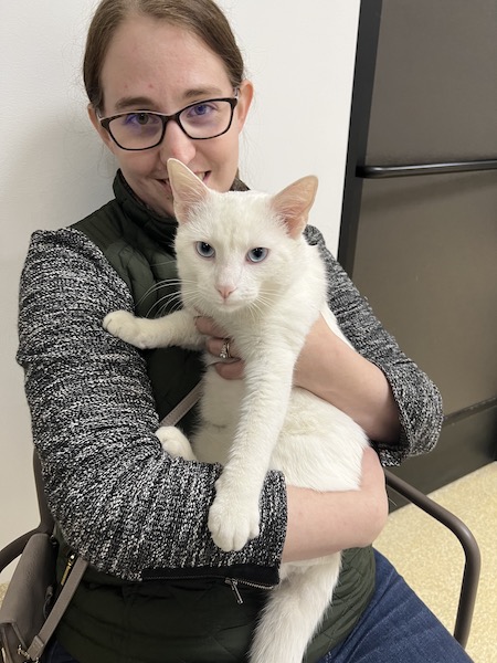 Woman wearing gray jacket holding a white cat