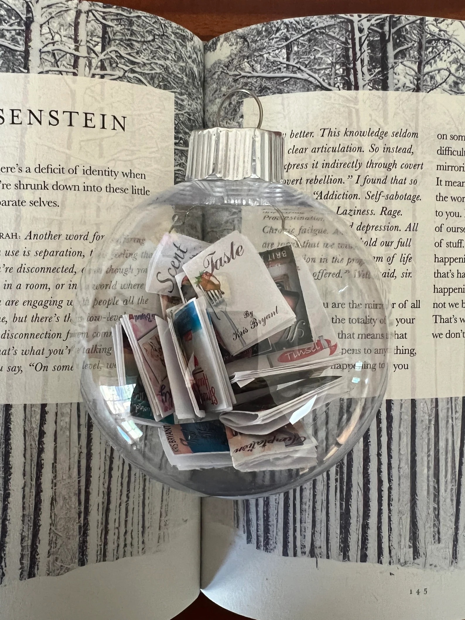 a photo of a clear ornament filled with miniature books