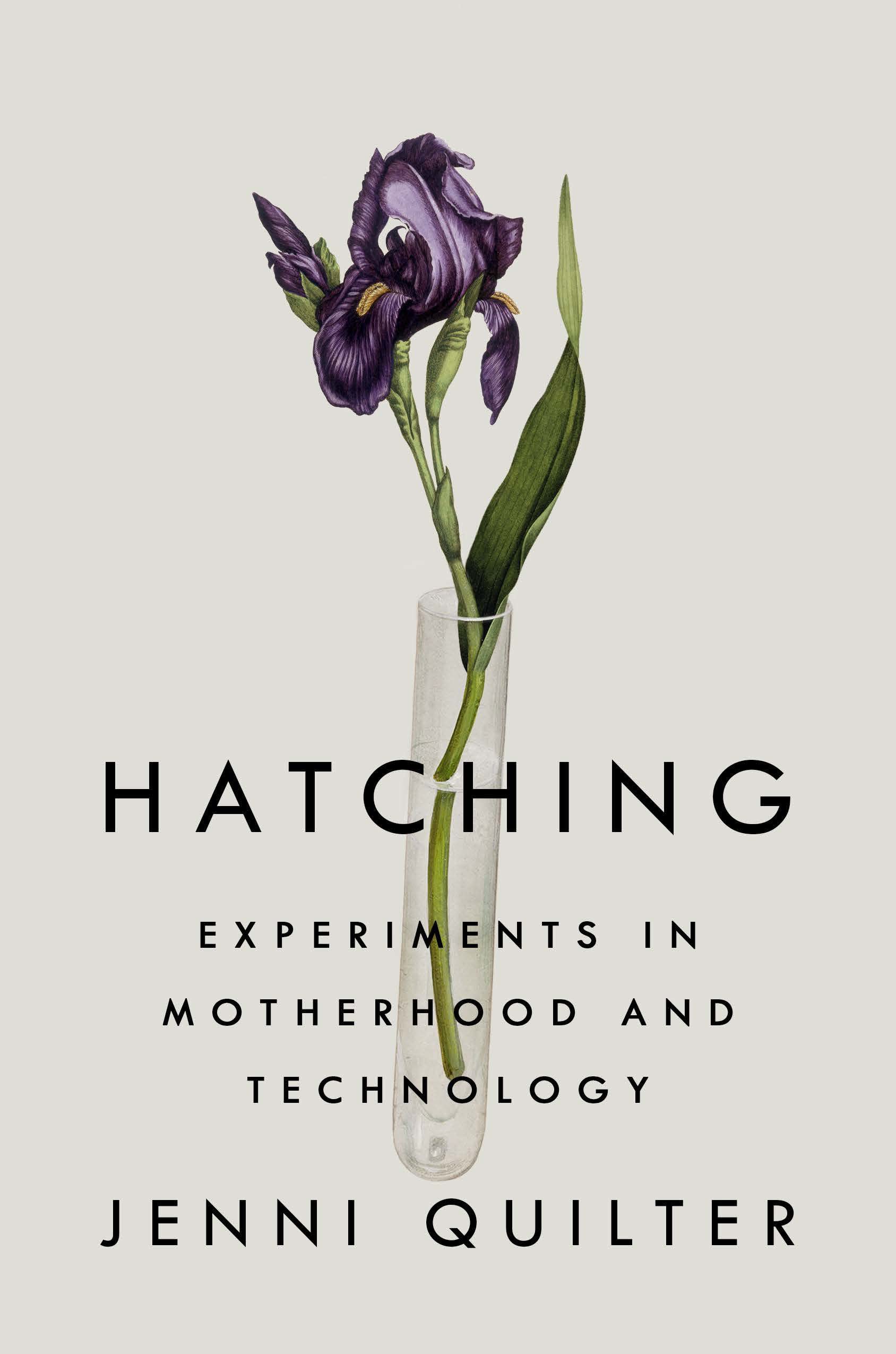 A graphic of the cover of Hatching: Experiments in Motherhood and Technology by Jenni Quilter