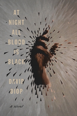 cover of At Night All Blood is Black