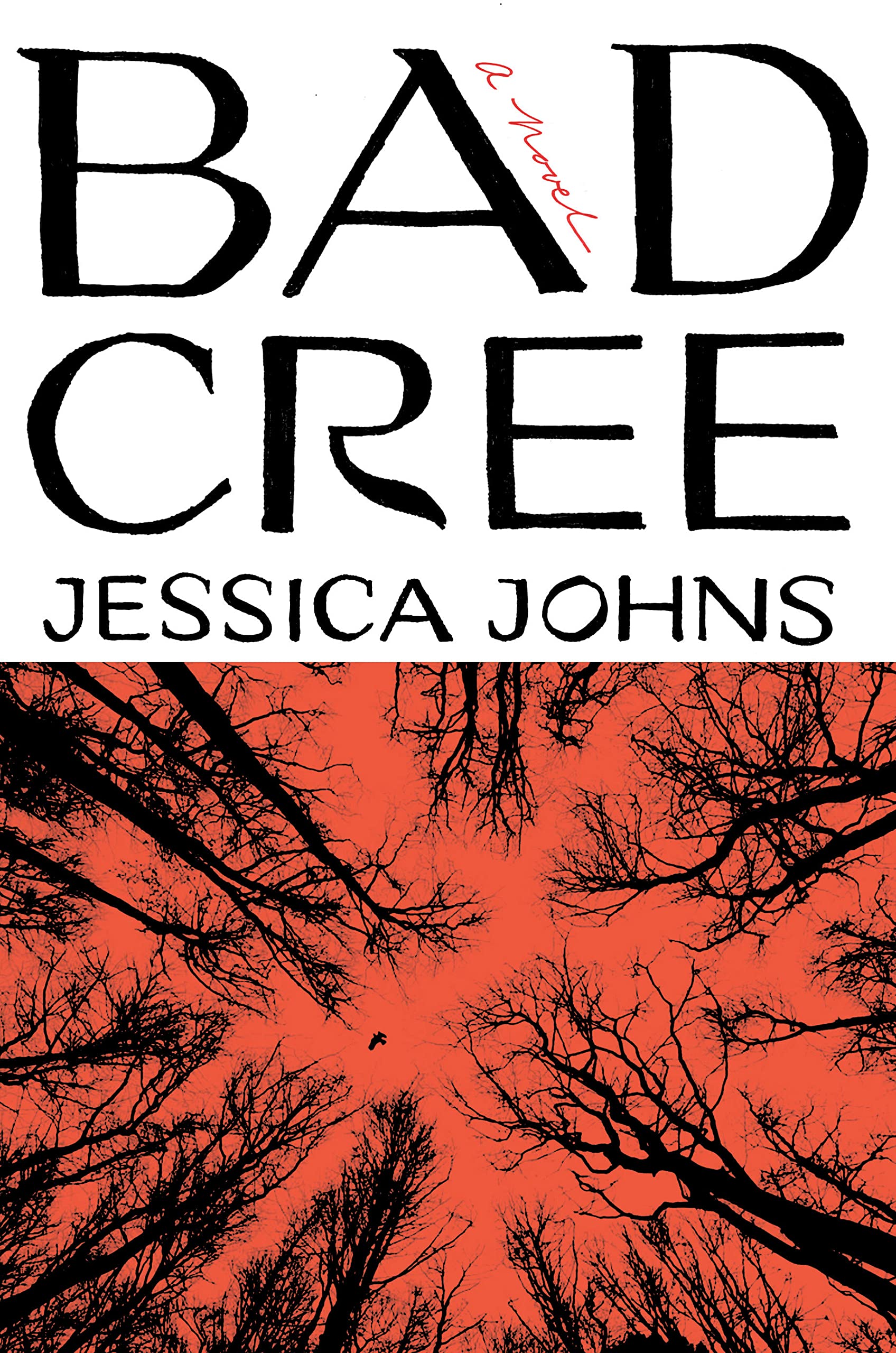 a graphic of the cover of Bad Cree by Jessica Johns