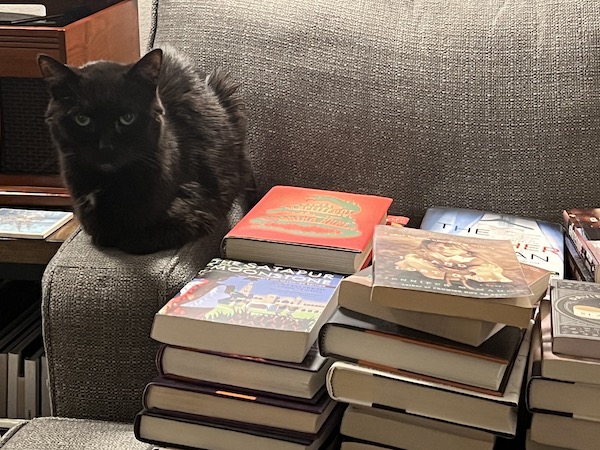 black cat sitting on the arm of a couch next to several stacks of books