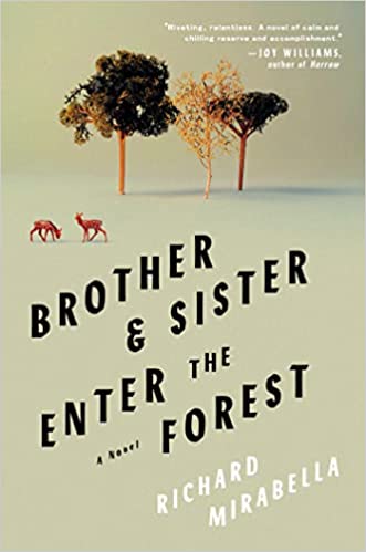 brother and sister enter the forest book cover