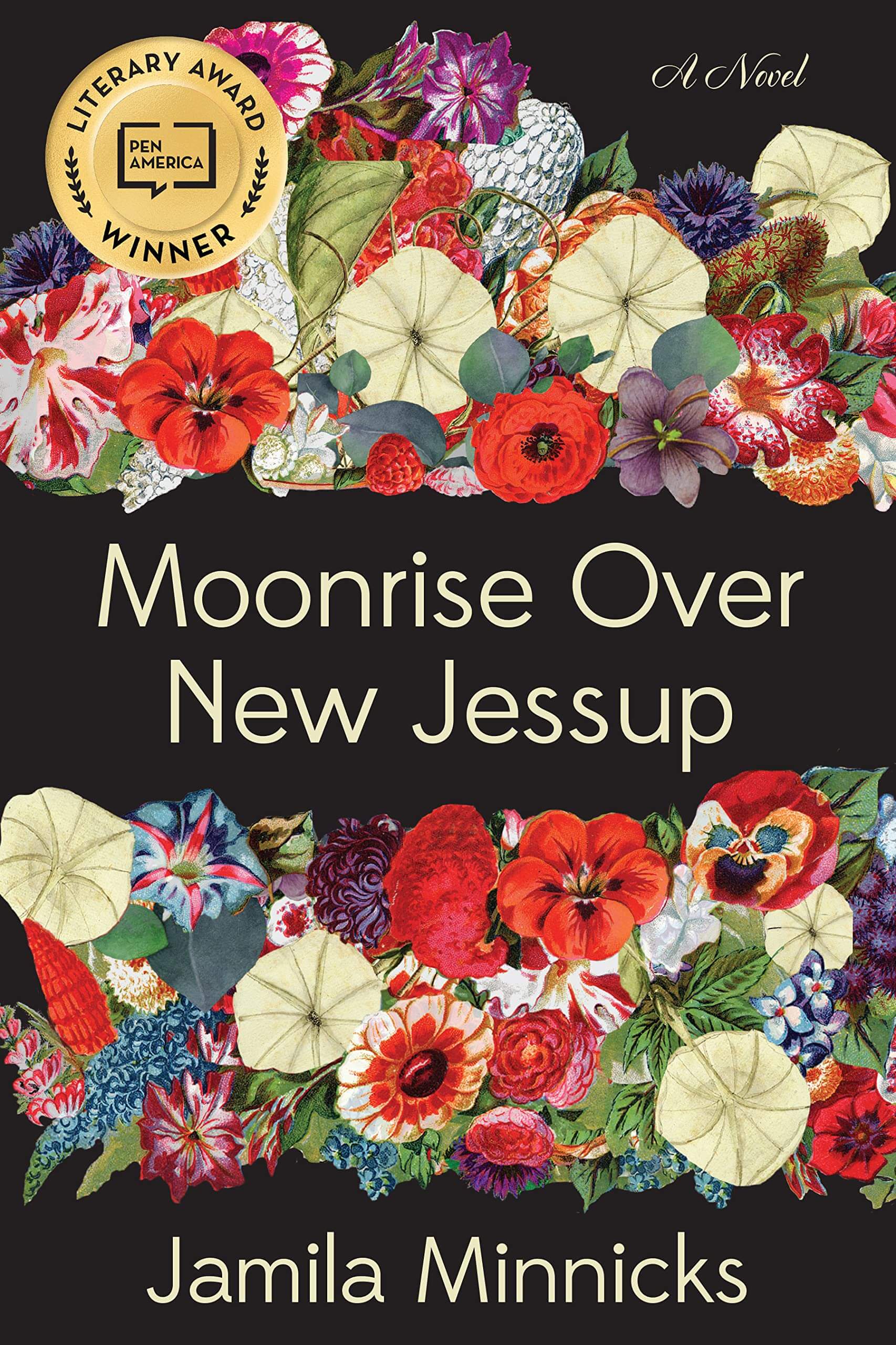 Moonrise Over New Jessup Book Cover