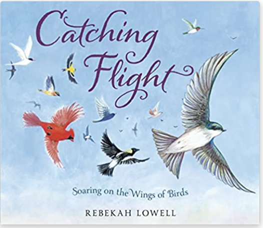 Catching Flight cover