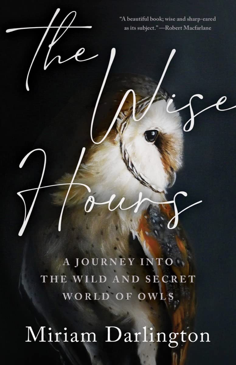a graphic of the cover of the wise hours