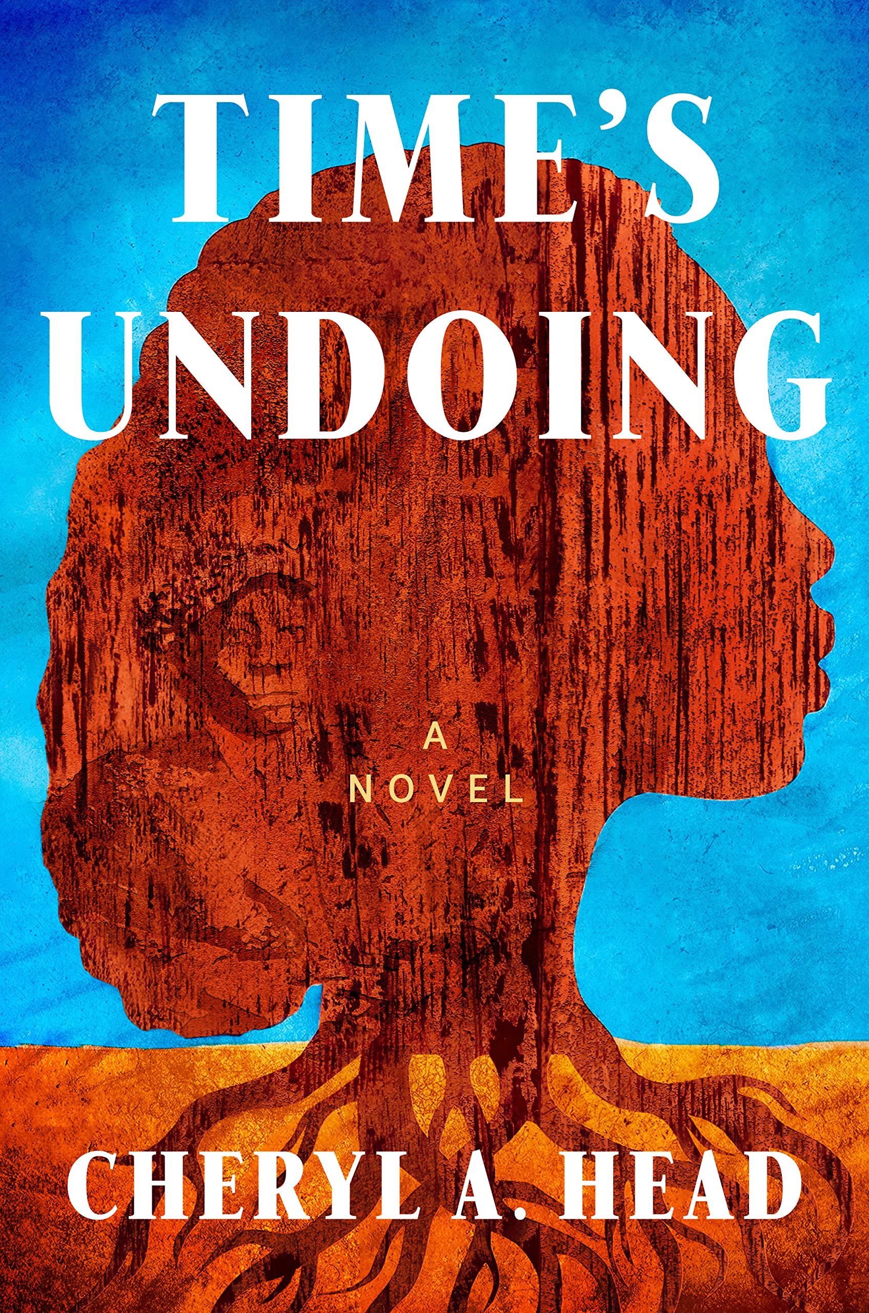 time's undoing book cover