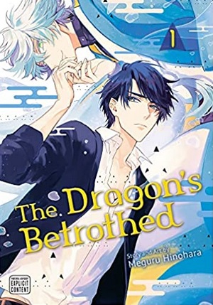 The Dragon's Betrothed Vol 1 cover