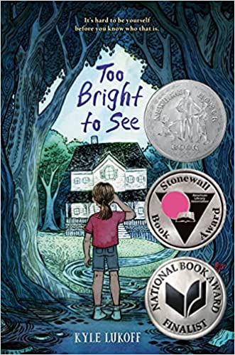 the cover of Too Bright to See