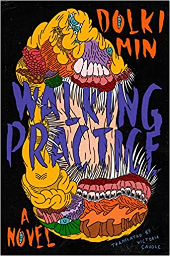 the cover of Walking Practice