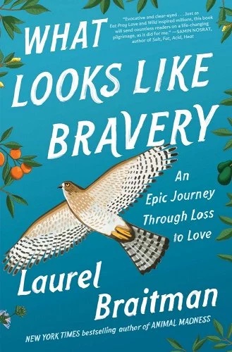 a graphic of the cover of What Looks Like Bravery: An Epic Journey Through Loss to Love by Laurel Braitman 