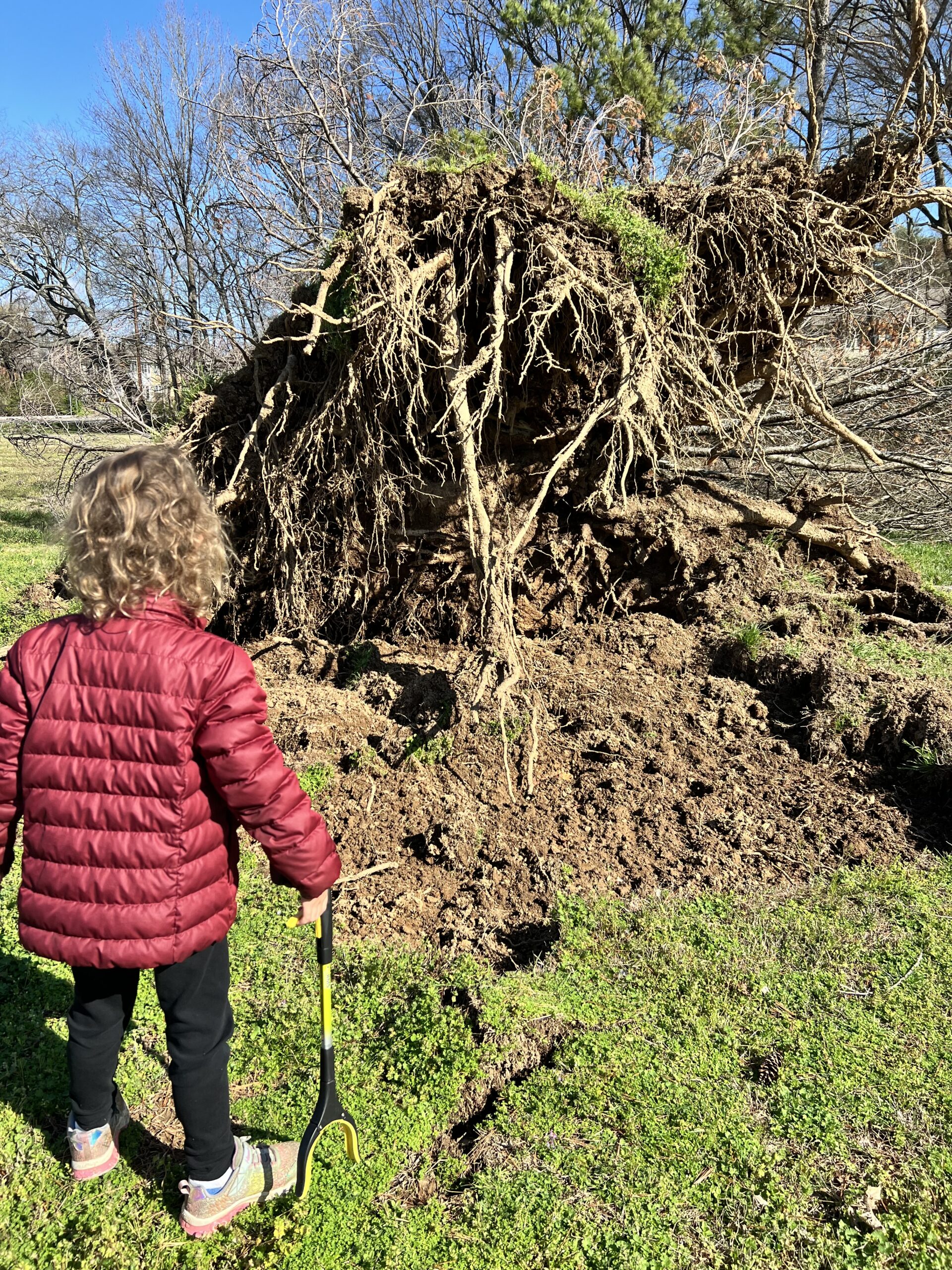 Marian with fallen tree The Kids are All Right