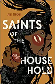 saints of the household book cover