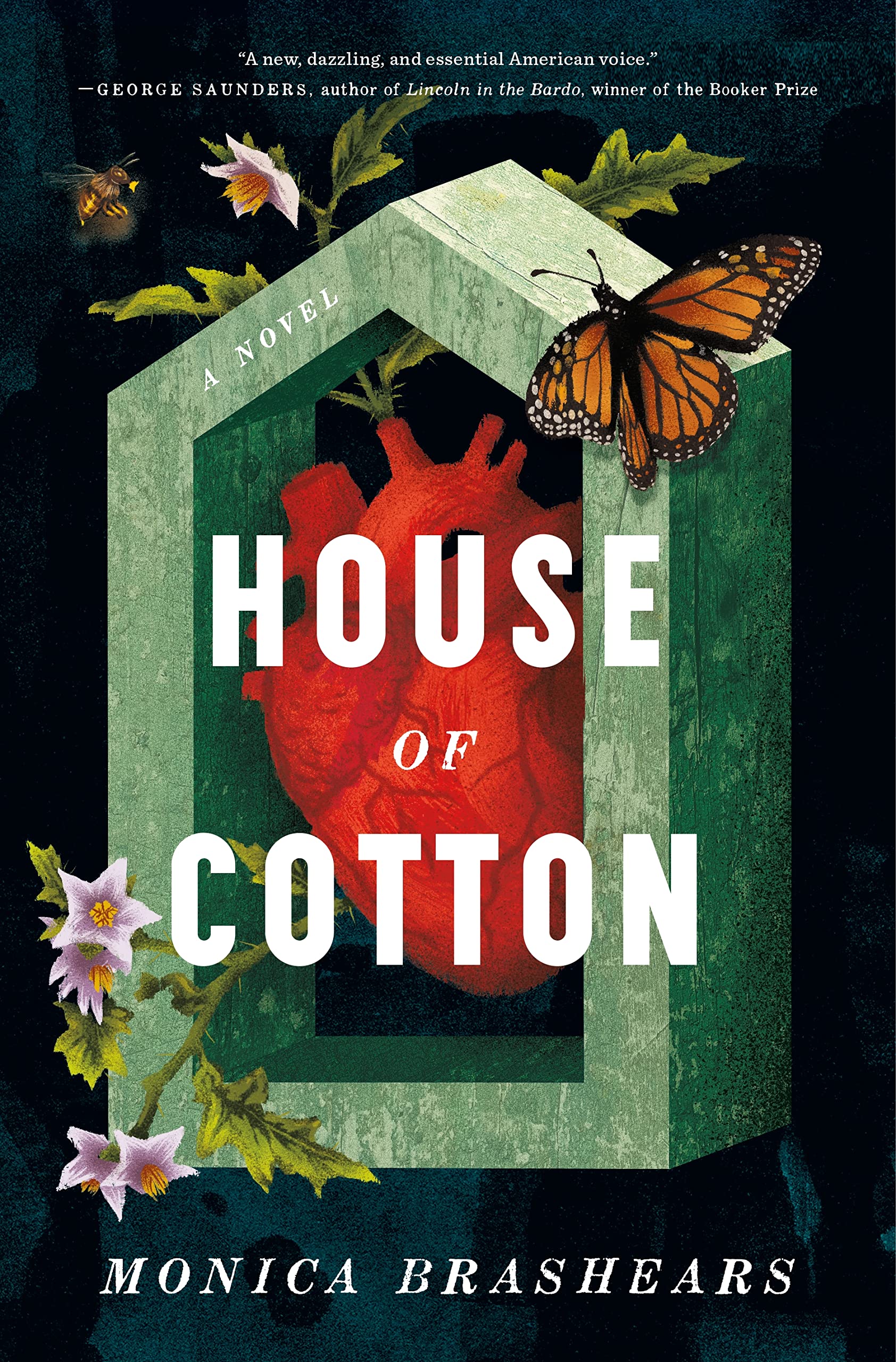 a graphic of the cover of House for Cotton