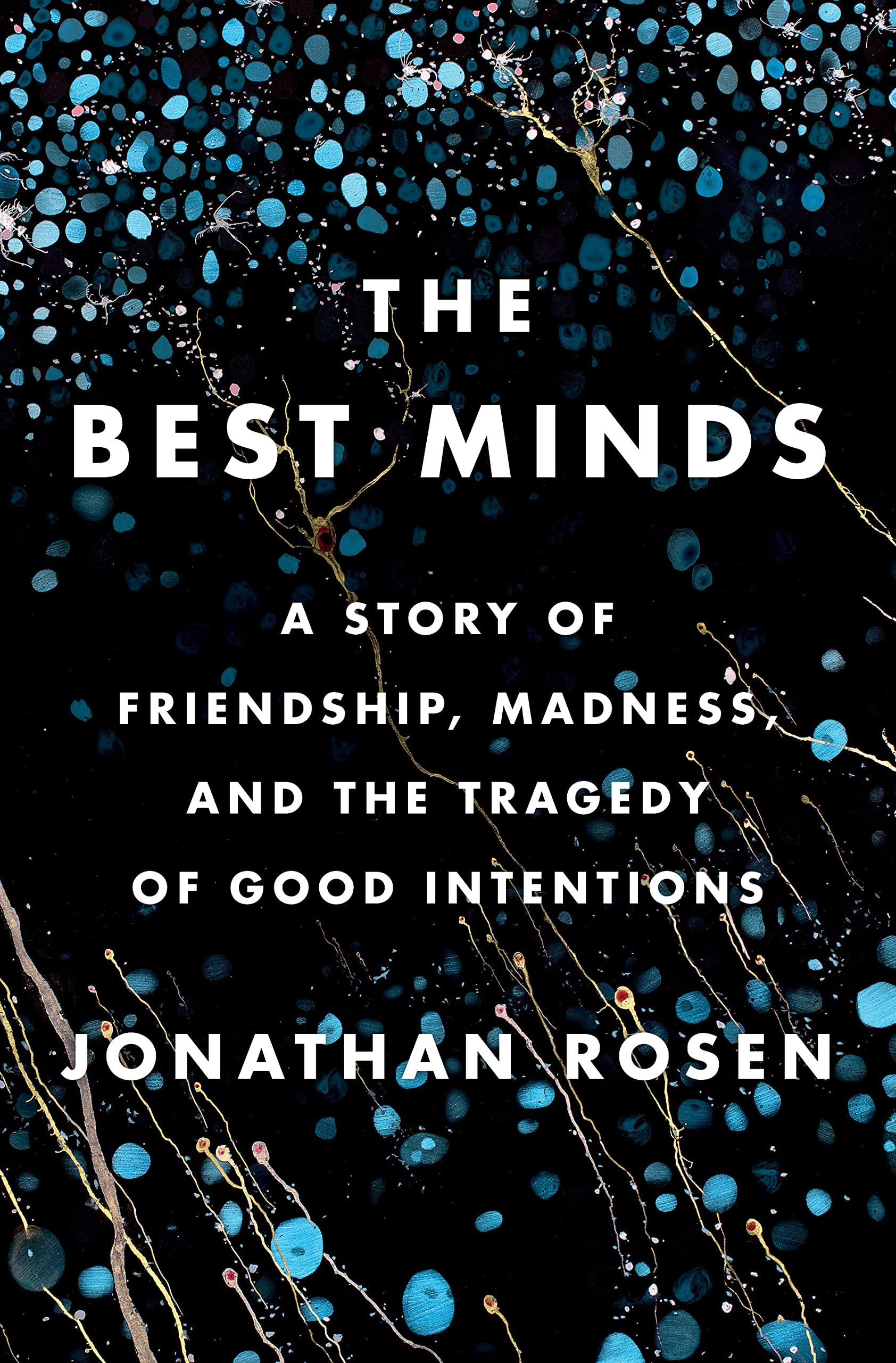 a graphic of the cover of The Best Minds: A Story of Friendship, Madness, and the Tragedy of Good Intentions by Jonathan Rosen