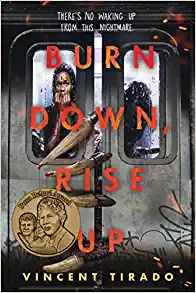 burn down, rise up book cover