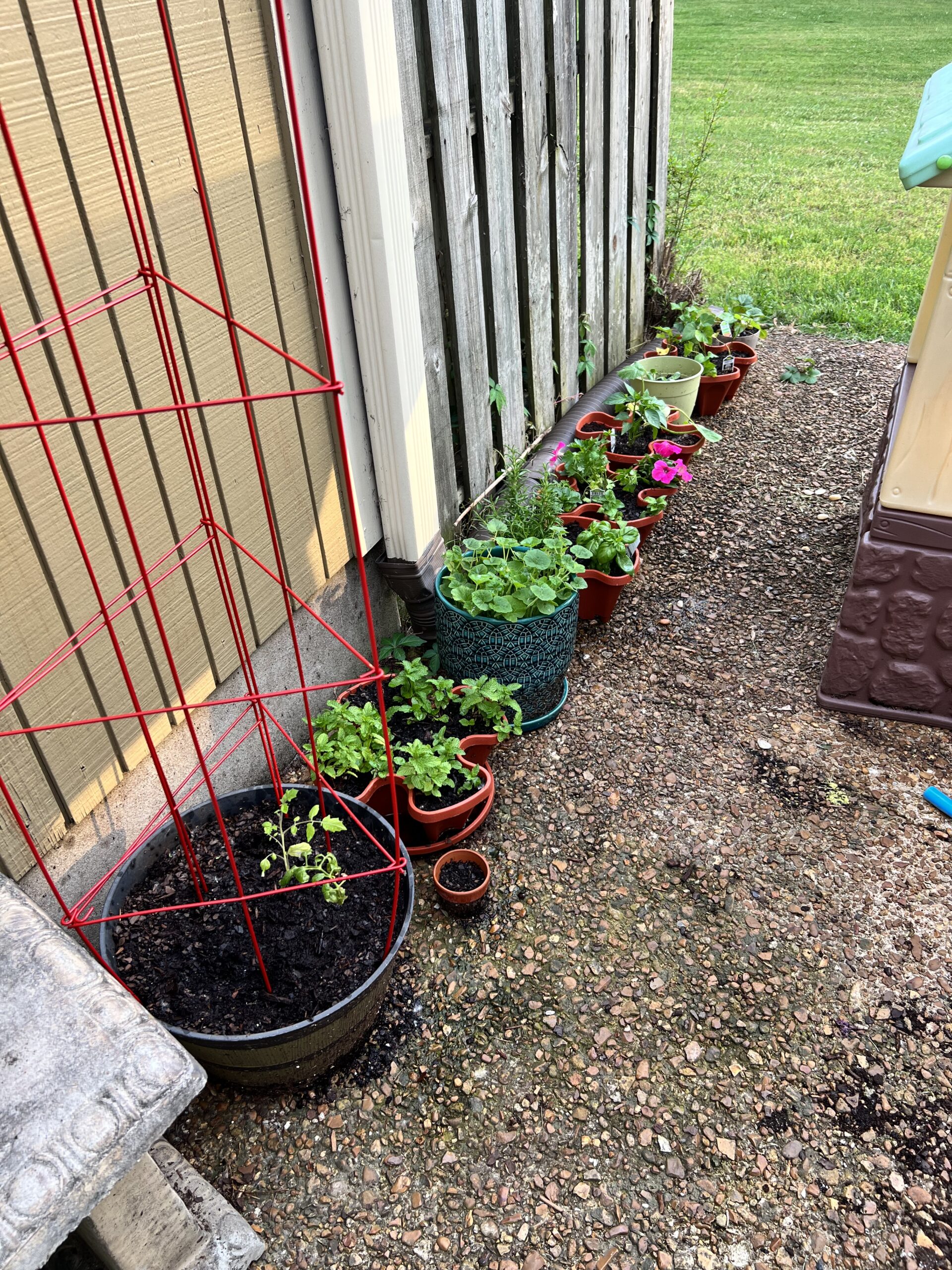 Patio garden, the kids are all right