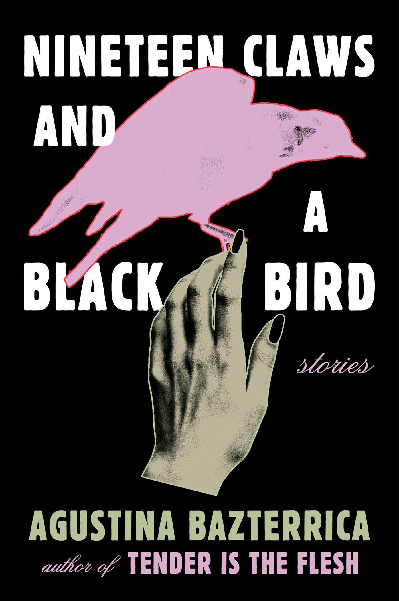 cover of Nineteen Claws and a Black Bird by Agustina Bazterrica, translated by Sarah Moses