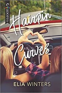 cover of Hairpin Curves