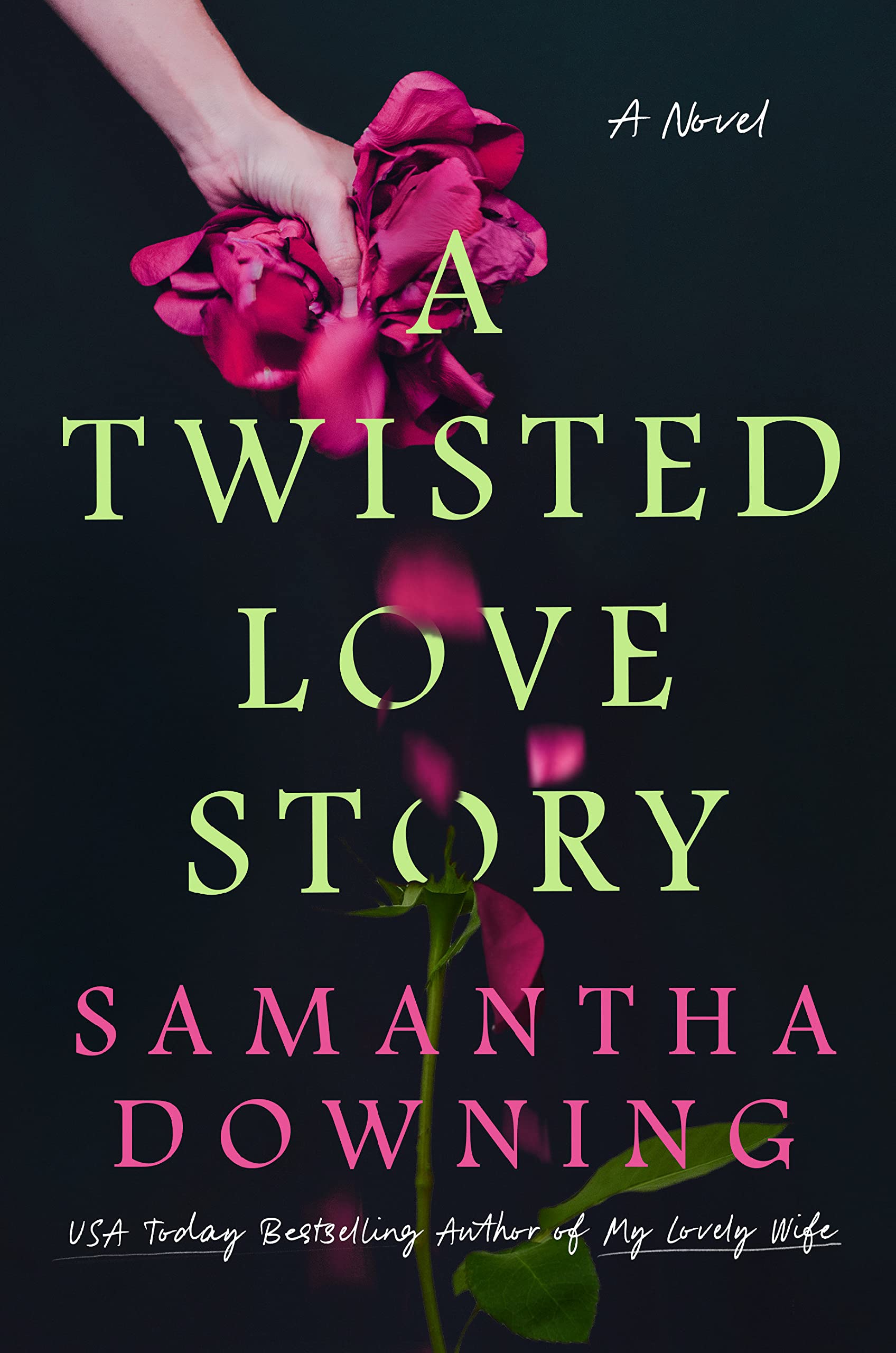 a twisted love story book cover