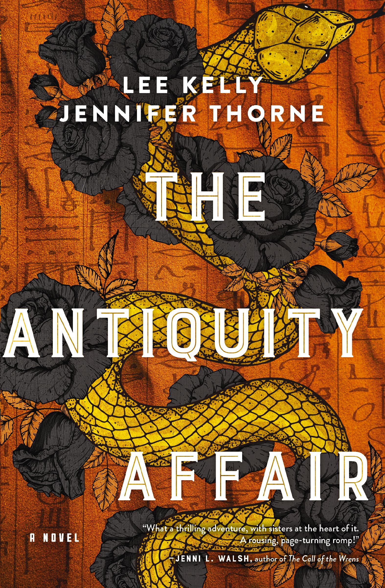 The Antiquity Affair Book Cover
