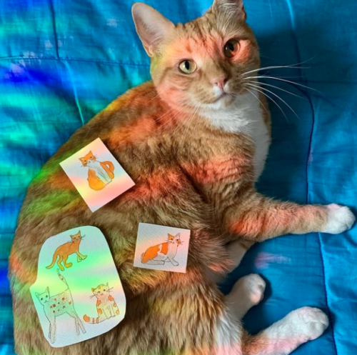 orange cat on blue blanket with three little paintings of orange cats resting on its fur; photo by Liberty Hardy