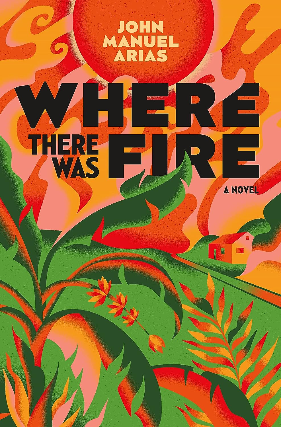 cover of Where There Was Fire by John Manuel Arias