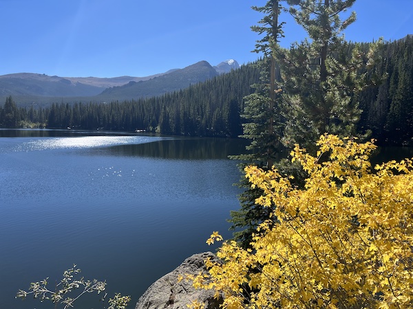 a mountain lake with yellow fall leaves in the foreground